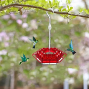 Yofany Sweety Hummingbird Feeder